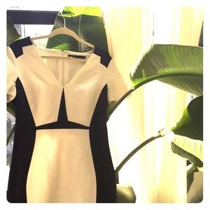 Black and white fitted dress